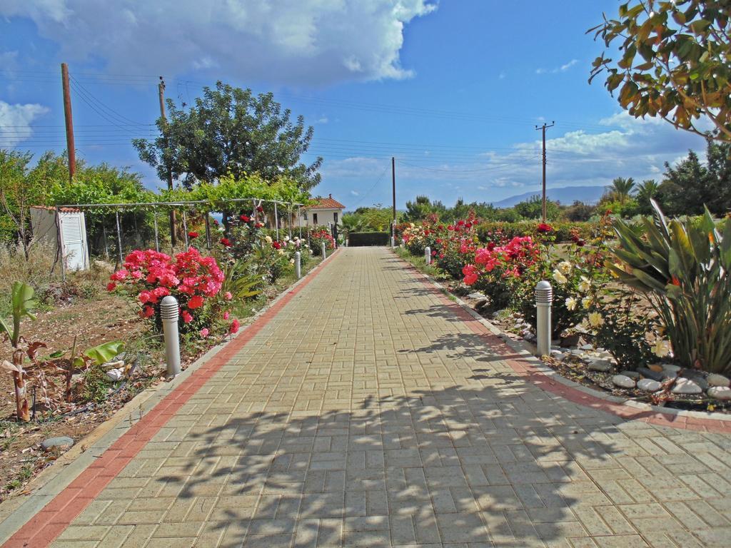 Eliofos Luxury Villa