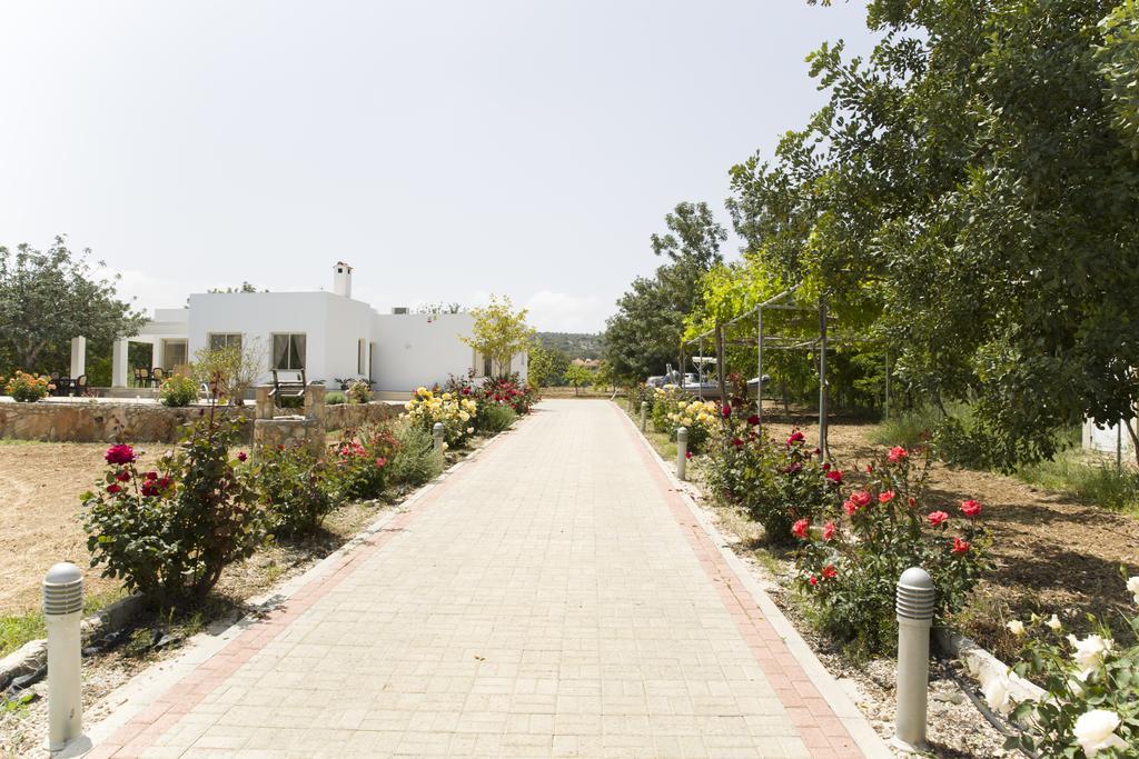 Eliofos Luxury Villa *